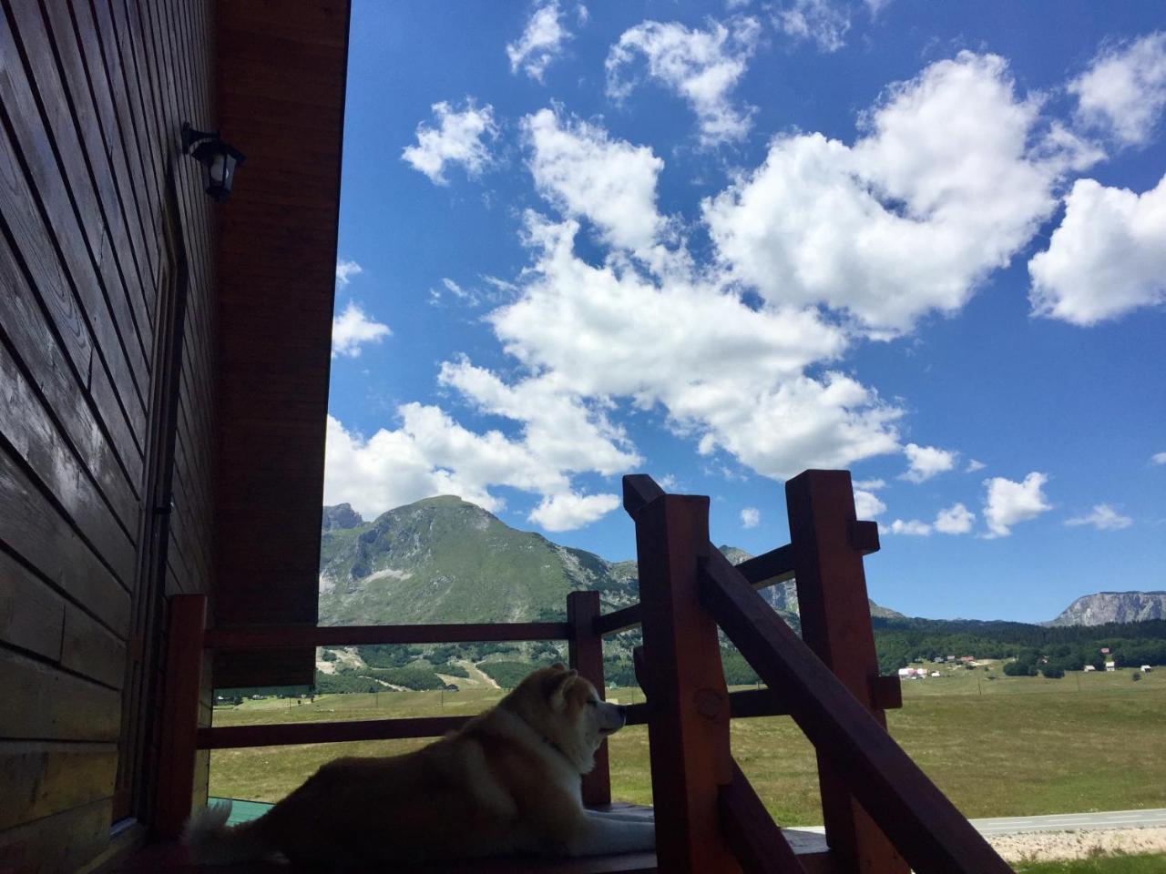 B&B Izvor Žabljak Extérieur photo